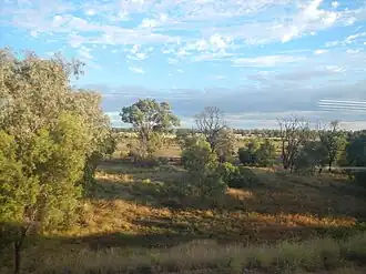 Grazing land west of the town of Comet, 2013