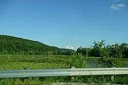 The Killbuck Swamp, east of Shreve