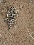 In New Mexico