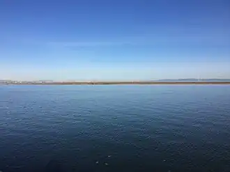 Across shimmering blue water, a flat stripe of dark vegetation can be seen beneath calm skies.