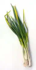 Green garlic, which releases allicin upon cutting