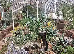 Inside the greenhouse.
