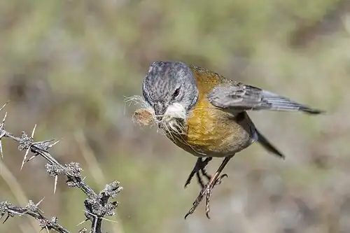 taking flight