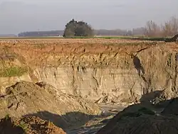 Quaternary loam (orange) above the Gentbrugge Formation (yellow-green) above the Tielt Formation (grey-white), exposed in a quarry at Gavere, Belgium.