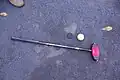 A ground golf ball and club