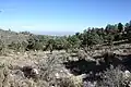 High elevation (8,100 feet (2,500&nbsp;m)) campground