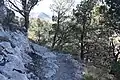 Hiking trail up the peak