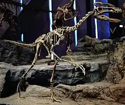 Skeletal mount