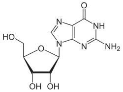Chemical structure of guanosine