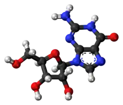 Ball-and-stick model of the guanosine molecule