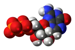 Space-filling model of the guanosine diphosphate anion