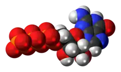 Space-filling model of the guanosine triphosphate anion