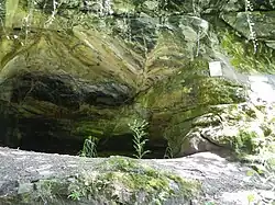 Right entrance area
