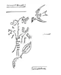 L'oiseau et le bouquet