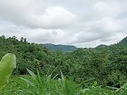 Hills in Guimara