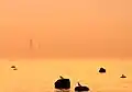 Tallinn Bay in fog at sunset