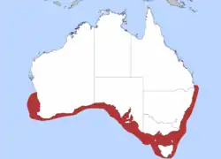 Common distribution for Gummy shark in southern Australia