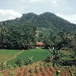 Mount Munara in Kampung Sawah, Rumpin.