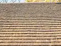 Church of Corpus Christi, Gutz, Czech Republic. Detail of shingle roof