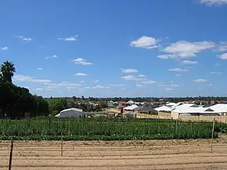 A market garden on North Beach Road, surrounded by residential development