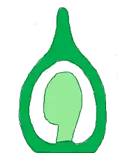 Basal