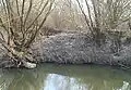 Hármasi or Keszler mill, the current riverbed of Zala at the former mill, remains of the sluice system in the background, Batyk