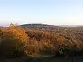 View from Alter Hollenstein