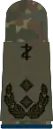Oberfeldarzt (dent. medicine)