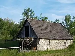 House in Bosanci