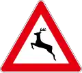 A33 Deer on road