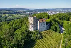 Image 38Habsburg Castle, Switzerland (from History of the Alps)