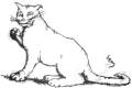 The CAT in HaJaBaRaLa