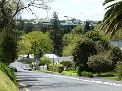 Radnor Street in Hamilton West, Hamilton.
