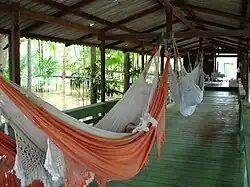 Hammocks, Amazon River island, Brazil