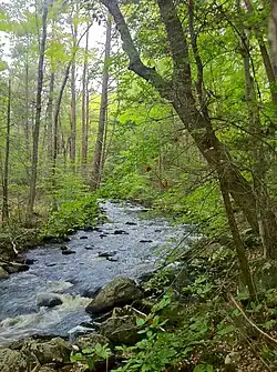 Hammonassett River