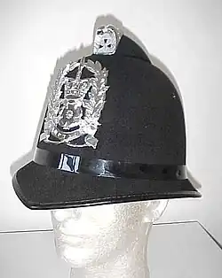 Custodian helmet