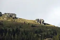 Rock formations, so-called "Furnace" (Steinöfen, weathering forms from plate gneiss) on the Handalm, middle Koralpe, Styria, Austria