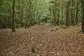 Hartshill Hayes Country Park