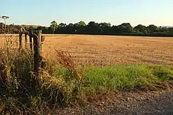 Field at Denbow Farm