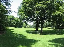 Hasenheide