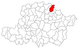 Location in Arad County