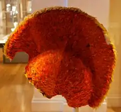 Room 24 – Hawaiian feather helmet or mahiole, late 1700s AD