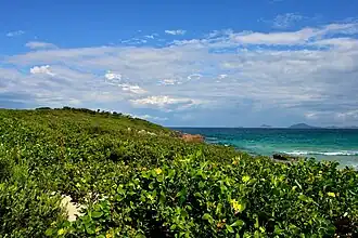 The end of the Hawks Nest peninsula