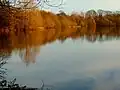 A recreational swimmer strikes out for the centre of the lake, disturbing wintering birds