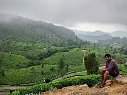 Southern area of Mankulam