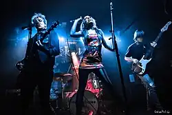 Healthy Junkies