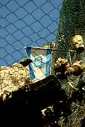 A net installed in the Old City to prevent garbage dropped by Israeli settlers into a Palestinian area.[49]