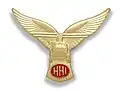 Helicopter Handling Instructor