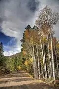 Fall Colors along Hell's Backbone Road