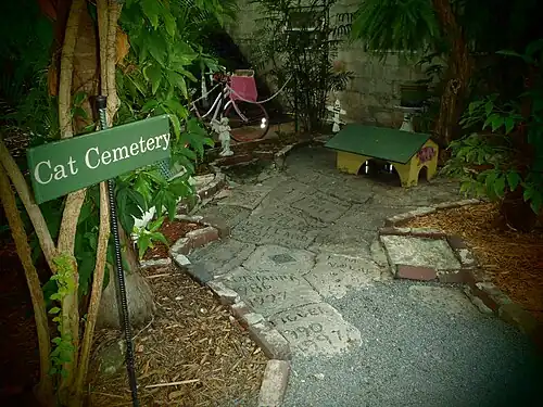 The cat cemetery